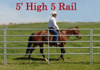 5' High 5 Rail Panel